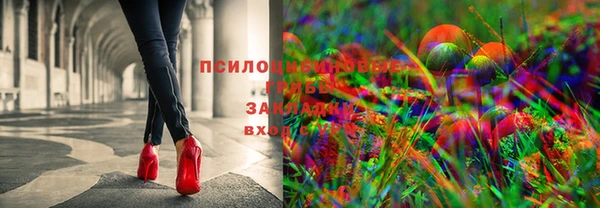 гашик Покровск