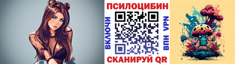 Псилоцибиновые грибы GOLDEN TEACHER  купить   Грайворон 